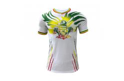 China Custom Designs Soccer Team Jersey Breathable Comfortable 120-160gsm Fabric Weight supplier
