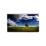 Original OLED Display TA055JHHM01 5.5 inch 720*1280 LCD Screen for sale