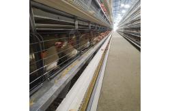 China H Shaped Small Stacked Layer Chicken Cage 6 Layers Customized supplier