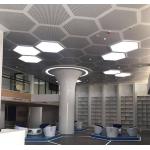 462x462x462x462x462x462 Perforated Aluminum Metal Ceiling Hexagonal Ceiling Tile With White Color for sale