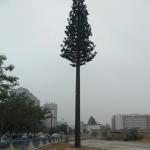 30m Antenna Monopole Mast Camouflage Tower For Mobile Communication