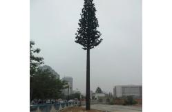 China 30m Antenna Monopole Mast Camouflage Tower For Mobile Communication supplier