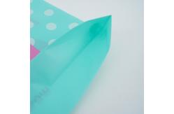 China Moisture proof OEM ODM Clear Plastic Bags With Handles Eco Friendly supplier