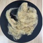 Recycled Polyester Staple Fiber 4.5D 64mm Beige  Low Elongation for sale