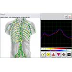 4025 Metatron NLS Machine Holistic Practitioners and Naturopathic Biofeedback Device for sale