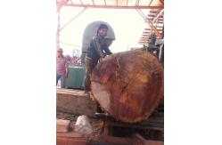 China Woodworking Table Saw, Vertical Bandsaw Mill, Wood planks sawing machines supplier