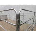 Pre Galvanized Tube Welded 1.8m Height Cattel Panel With 50x50mm Square Pipe for sale