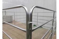 China Pre Galvanized Tube Welded 1.8m Height Cattel Panel With 50x50mm Square Pipe supplier
