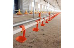 China Chicken Drinking Automatic Pan Feeding System For Poultry Farming Equipment supplier