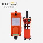 Telecontrol Industrial Crane Remote Control System 4 Single Buttons Telecrane F21-4S for sale