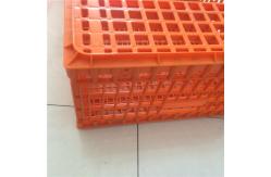 China Plastic crates for the transfer of chickens supplier
