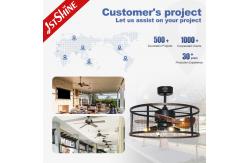 China Downrod Mount Remote Control Cage Ceiling Fan 20in With Light supplier