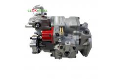 China Fuel Injection Pump 3088300 3086397 3096205 for Engine KTA19 QSK19 supplier