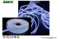 China 60LEDs IP68 16W LED Flexible Strip Lights For Underground Mines supplier