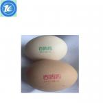 Automatic Grade TIJ Egg Date Coding Machine No Need Cleaning Nozzle High Definition