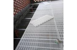 China Grating Shed Mesh Plastic Slatted Floor For Poultry supplier