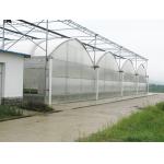 Double Layer Dutch Bucket Commercial Hydroponic Greenhouse For Tomato Planting for sale