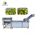 Customized Citrus Fruit And Vegetable Processing Line Impurities Treatment Sewage Disposal for sale