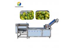 China Customized Citrus Fruit And Vegetable Processing Line Impurities Treatment Sewage Disposal supplier