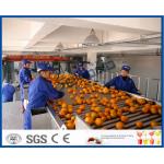 Fruit Juice Processing Equipment With Citrus / Tangerines / Orange Juice Extractor Machine for sale