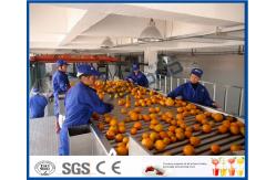 China Full Automatic Engery saving Orange Processing Line for Turn Key Project supplier