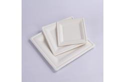 China 10 Inch Green Compostable White Square Paper Green Biodegradable Sugarcane Plates supplier