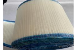 China Large Air Permeability Paper Mills Polyester Mesh Conveyor Belt supplier
