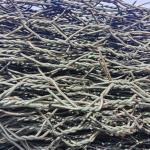 Reinforced 80x100mm Gabion Wire Mesh With Reverse Twisted Weaving Type for sale