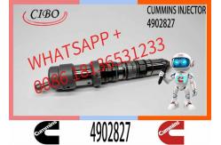 China 4062090 Diesel Engine Common Rail QSX23 Fuel Injector 4077076 4902827 4088431 4076533 supplier