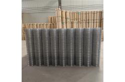 China Square steel welded wire1 X 1 4x4 Welded Wire Mesh Galvanized 14mm supplier