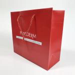 Offset Printing Patch Handle Paper Bag for Durable and Recyclable Custom Shopping for sale