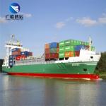 International DDP Sea Shipping Door To Door Cargo China To Dubai UAE Mexico for sale