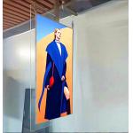 Colorful Hanging Transparent OLED Display Screen For Advertising 3G/4G/5G for sale
