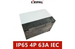 China Four Pole IP65 Electrical Changeover Cam Switch 100A 230-440V supplier