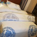 Classic Plain Disposable Bedding Disposable Bed Liners Bed Sheets Home Hospital for sale