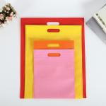 Wholesale Different Size Available Rainbow Colors 65gsm Enviroment Friendly Resuable Non Woven Gift Bag for sale