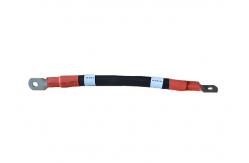 China Cold Pressed Terminal Connect 300mm Electronic Wire Harness supplier