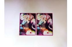 China Other Gift Craft Custom Trading Clear Plastic Card Sleeves With Unique Special Design supplier