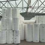 Custom PP Spunbond Non Woven Fabric For Medical Surgical Gown 10 - 320cm Width for sale