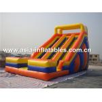 Inflatable Pvc Tarpaulin Dual Slide For Children Park Games for sale