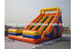 China Inflatable Pvc Tarpaulin Dual Slide For Children Park Games supplier