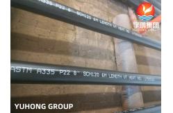 China ASTM A335 Seamless P22 Ferritic Alloy Steel Boiler Pipe supplier
