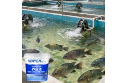 China Indoor Waterproof Aquaculture Paint Boat Paint Koi Pond Painting supplier