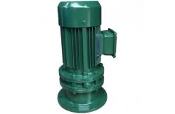 China Vertical Planetary Cycloidal Gear Motor Reducer Flange Mounted supplier