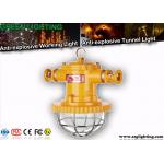 IP67 Led Tunnel Lighting Explosion Proof Die - Casting Aluminum Housing for sale