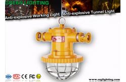 China IP67 Led Tunnel Lighting Explosion Proof Die - Casting Aluminum Housing supplier