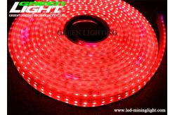China 576LM DC36V Flexible underground LED Strip Light SMD5050 Explosive Proof supplier