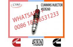 China Engine Parts ISX15 QSX15 Common Rail Fuel Injector 4928260 2874505 4903472 supplier