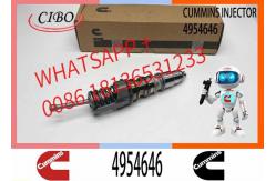 China Remanufactured High Quality Common Rail Diesel Fuel Injector 4954645 4954646 supplier