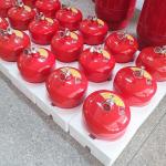 Electronic Equipment FM200 Automatic Gas Fire Extinguishing System for sale